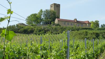 Bewegte Geschichte: Es ist eines der altehrwürdigsten Weingüter in der Region. Jetzt feiert die Burg Ravensburg in Sulzfeld einen ganz besonderen Geburtstag. 