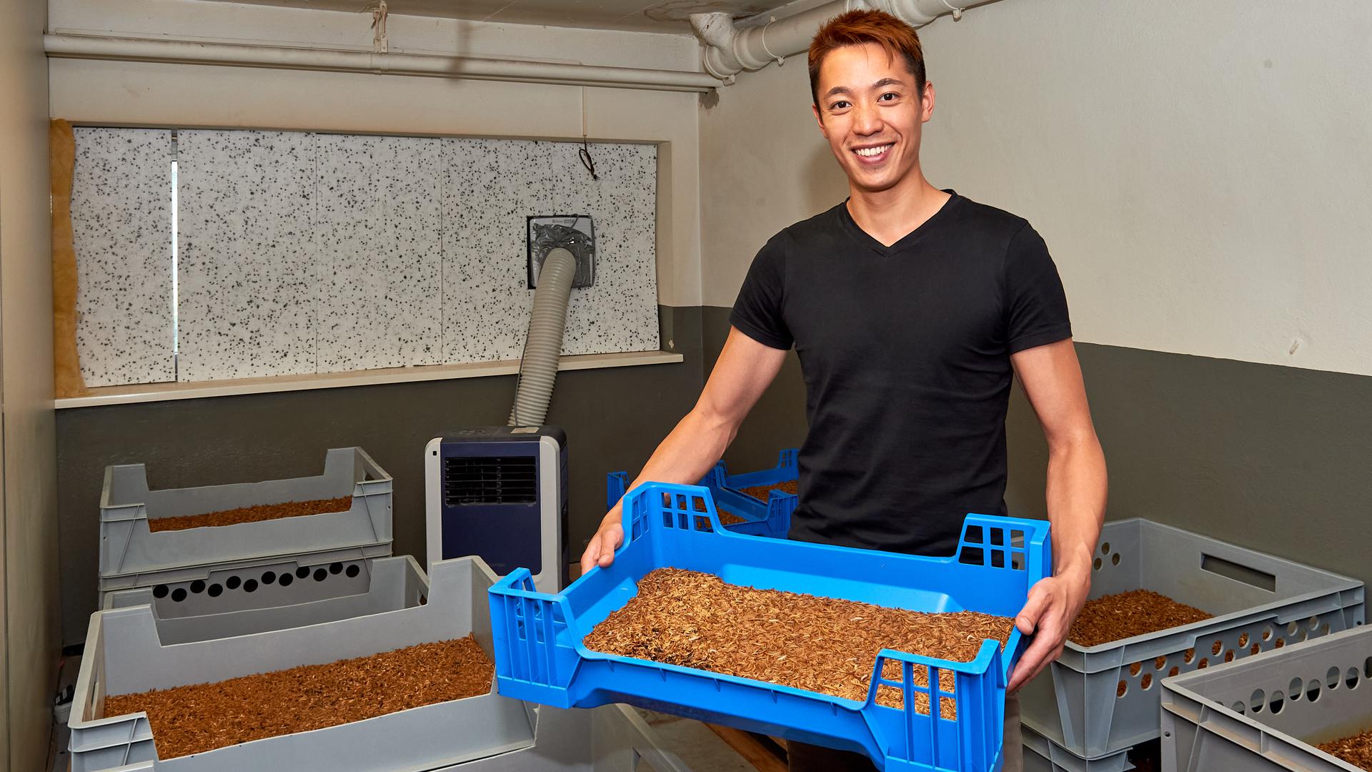 Gia Tien Ngo steht im Zuchtraum seiner Insektenfarm und hält eie Kiste mit Mehlwürmen hoch