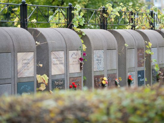 Urnengräber, aufgenommen am Freitag (22.10.2010) auf dem evangelischen Friedhof Haspe im westfälischen Hagen.