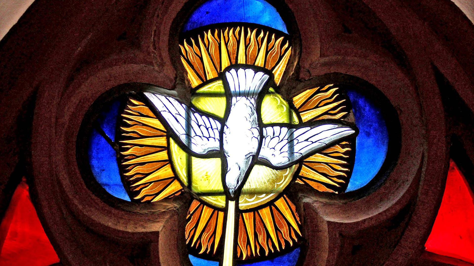 Kirchenfenster, Taube, Pfingstsymbol