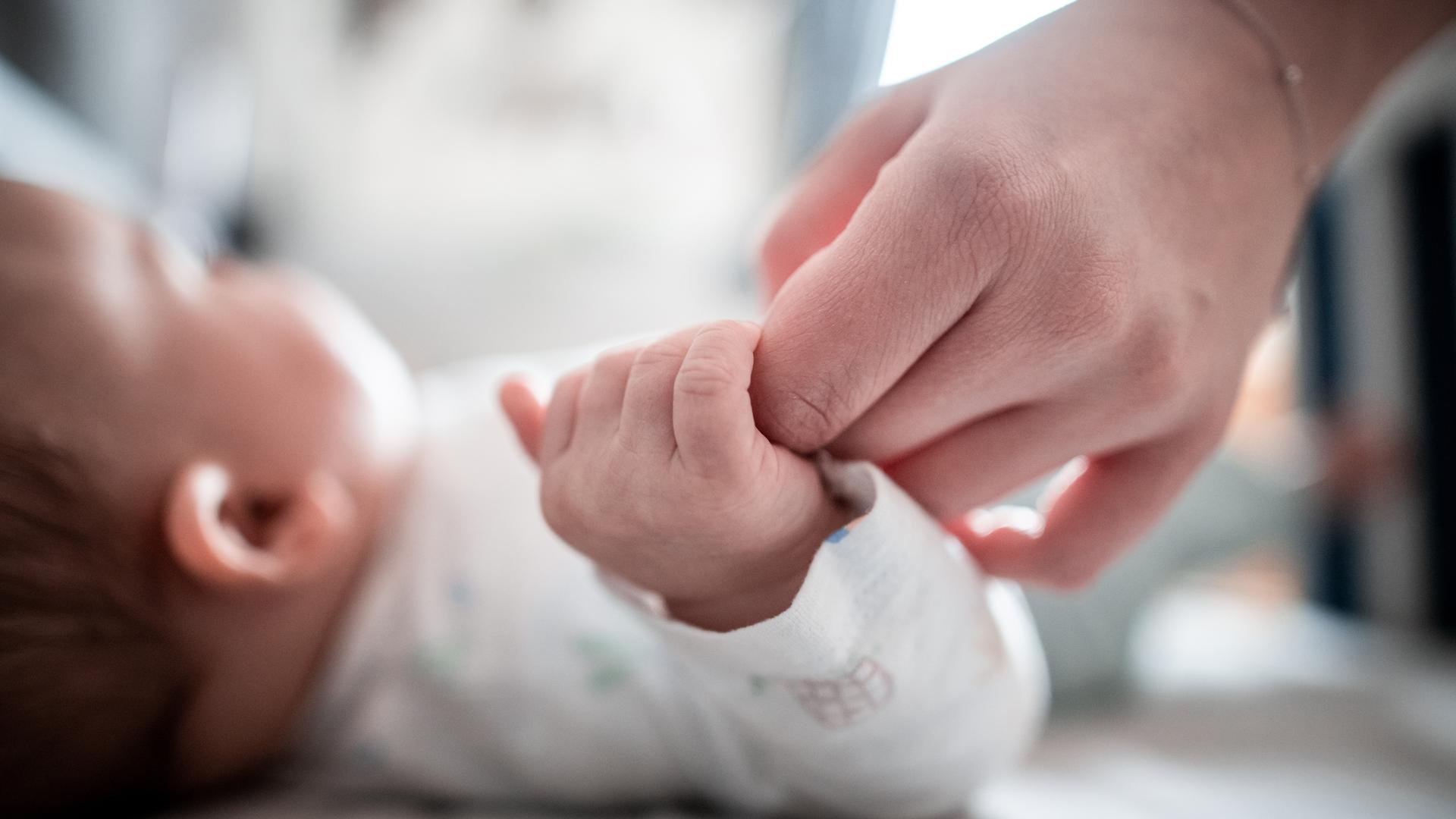 Ein Baby klammert sich an den Finger seiner Mutter. Frauen in Deutschland haben im Jahr 2019 weniger Babys auf die Welt gebracht als 2018. +++ dpa-Bildfunk +++