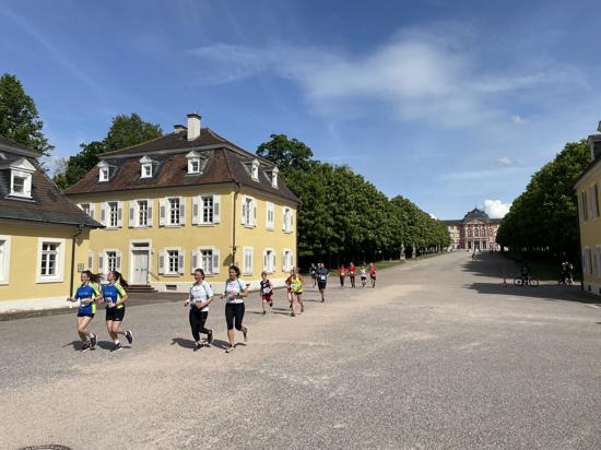 Die 3,5 Kilometer lange Strecke des Bruchsaler Hoffnungslaufs führt auch durch den Schlossgarten_1.
