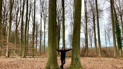 Ein Hallenwald aus majestätischen Buchen steht unweit der Grillhütte bei Heidesheim. Förster Michael Durst erinnert der Baumbestand an eine riesige Kathedrale. 