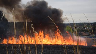 Ein Feld steht im Jahr 2015 bei Diedelsheim in Flammen. Dahinter ist Bretten zu sehen. 