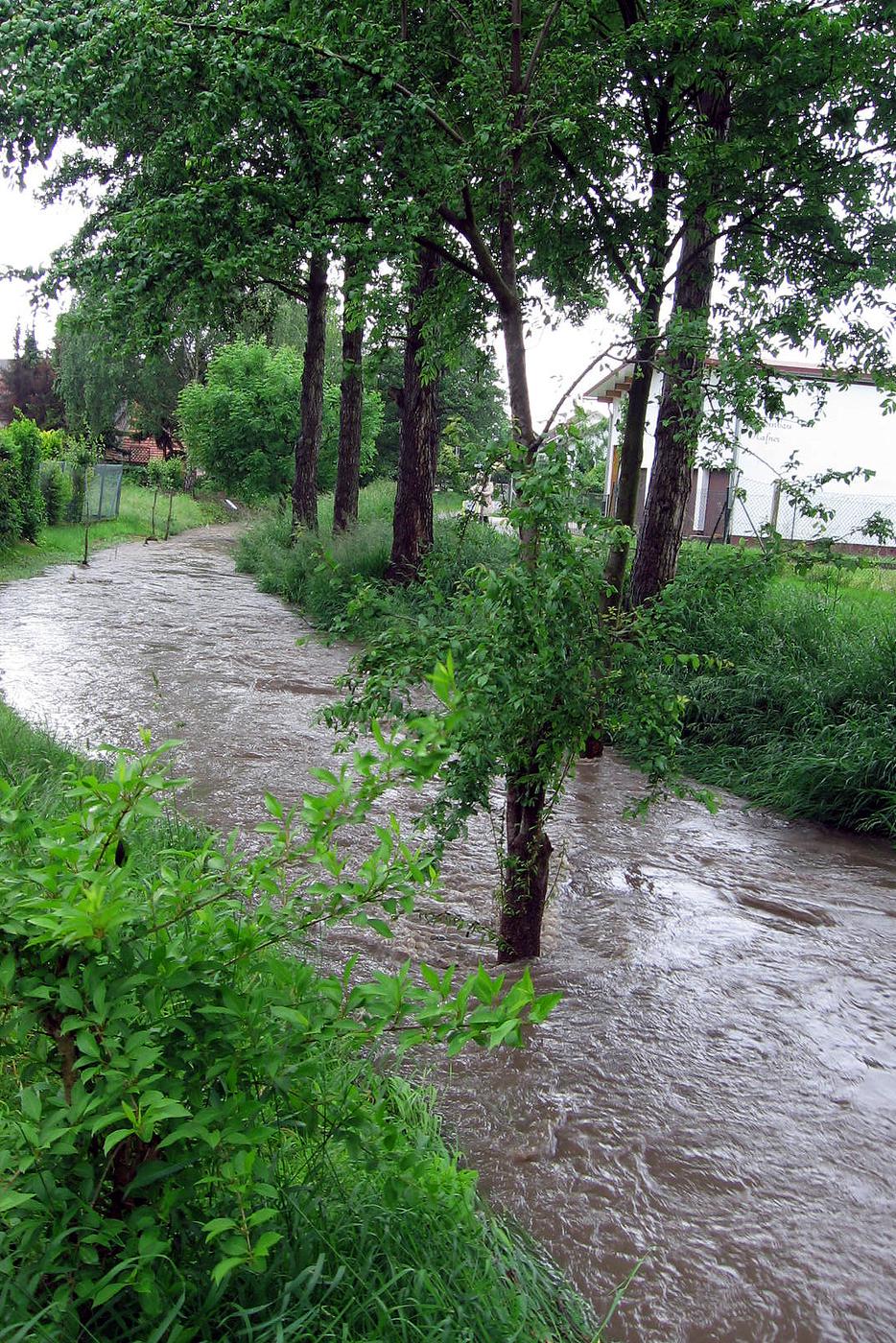 Katzbach: Beim Hochwasser Ende Mai 2013. Auf dem Foto erkennt man gut, dass der Bach auf fast die doppelte Breite angewachsen war.