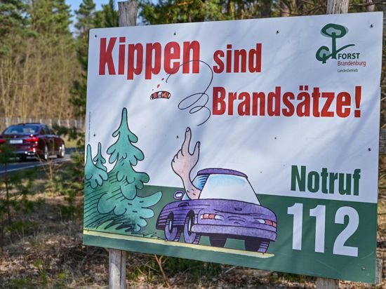 Am Rande eines Waldes steht ein Schild vom Landesbetrieb Forst Brandenburg mit der Aufschrift «Kippen sind Brandsätze! Notruf 112». (zu dpa "Waldbrandgefahr in Brandenburg steigt wieder - schon 55 Brände") +++ dpa-Bildfunk +++