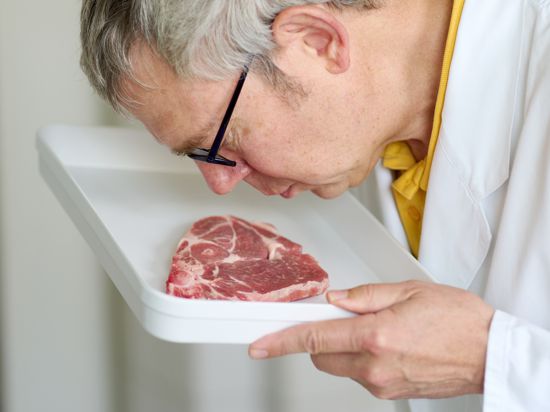 Ein Lebensmittelkontrolleur riecht an einem Stück rohem Fleisch.