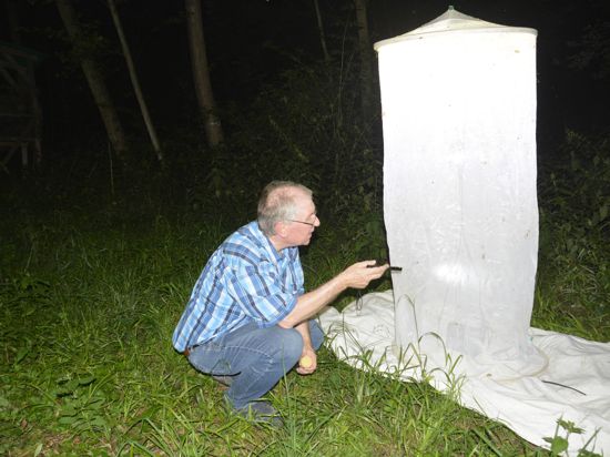 Ein Mann kniet vor einem leuchtenden Netz in der Nacht und zählt Insekten, die angelockt wurden. 