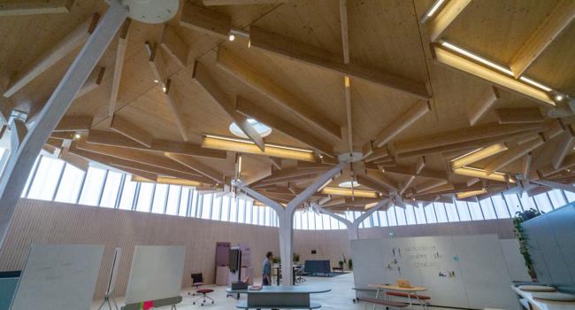 Schlanke Doppelstützen tragen in der Ophelis-Ausstellungshalle ein Dach, dass wie Baumkronen wirkt. Diese Architektur hat der Bund Deutscher Architektinnen und Architekten (BDA) mit der Hugo-Häring-Auszeichnung prämiert. 