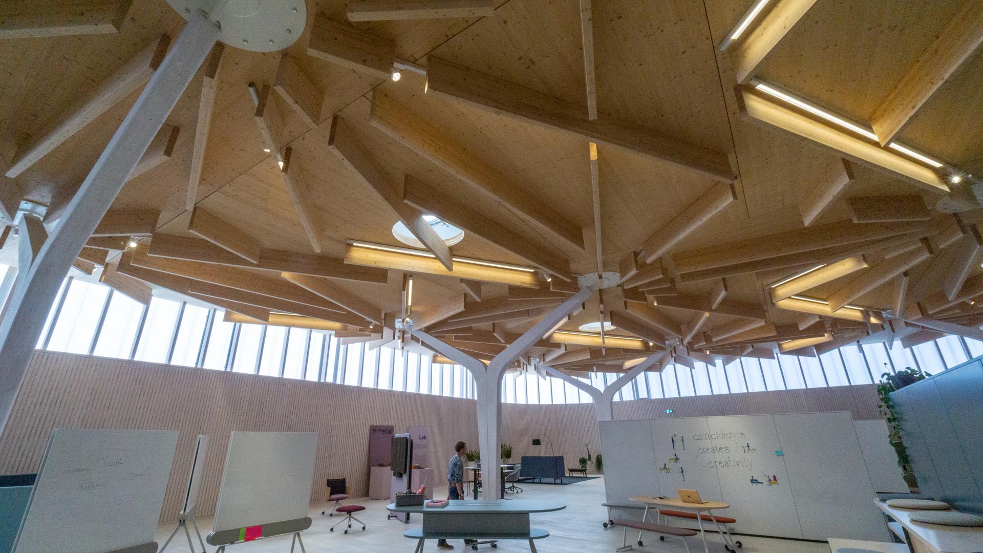 Schlanke Doppelstützen tragen in der Ophelis-Ausstellungshalle ein Dach, das wie Baumkronen wirkt. Diese Architektur hat der Bund Deutscher Architektinnen und Architekten (BDA) mit der Hugo-Häring-Auszeichnung prämiert. 