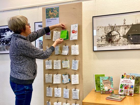 Samen-Tütchen für die neue Saatgut-Bibliothek hängt Ilona Butterer von der Stadtbibliothek Bruchsal auf. Auch in Forst und Östringen gibt es das Angebot zum Ausleihen und Vervielfältigen. 