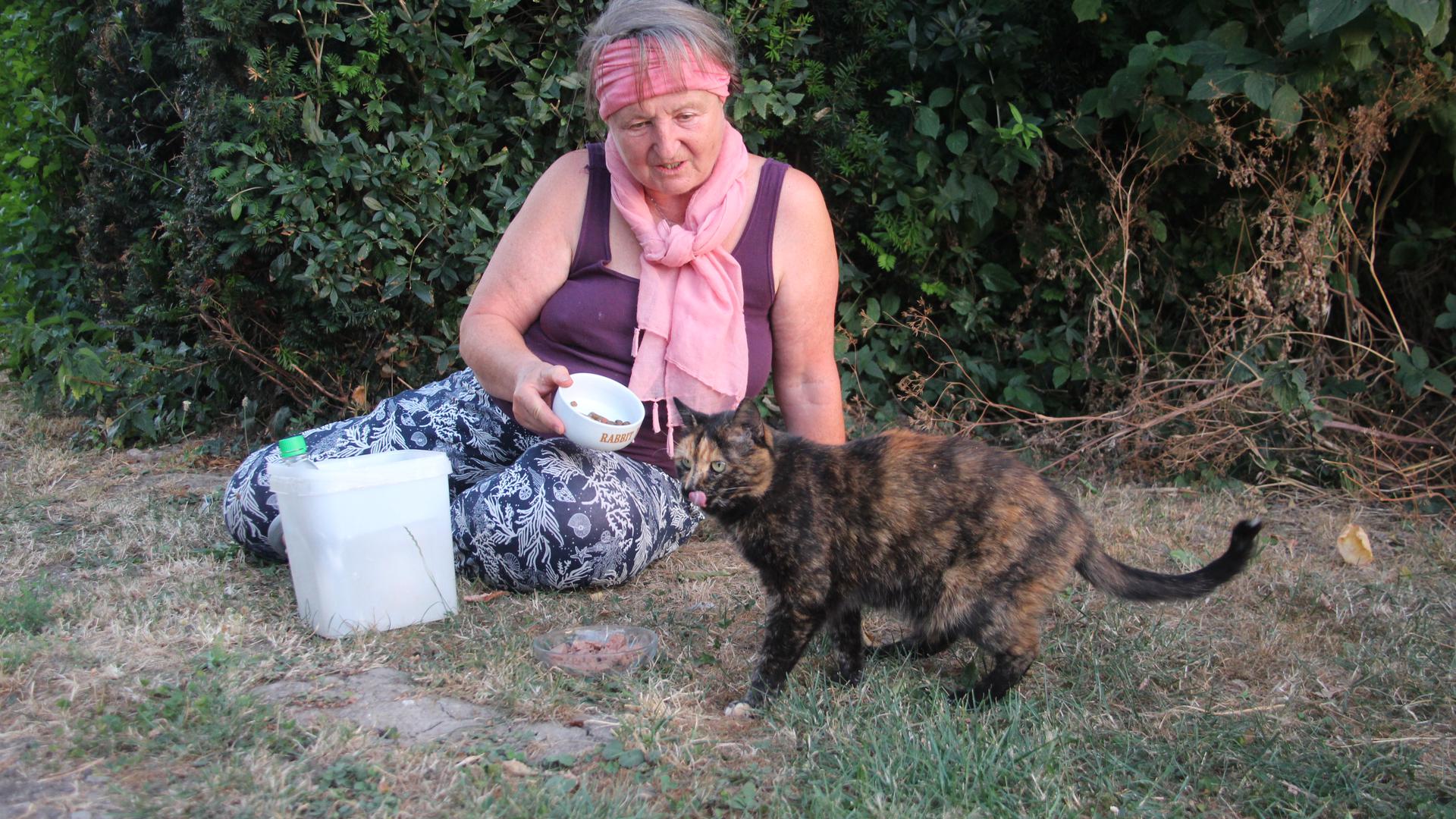 Eva Goroll füttert eine Katze, die sie „Mutzele“ nennt. Seit bestimmt sieben Jahren wird das Tier jeden Tag von ihr versorgt.