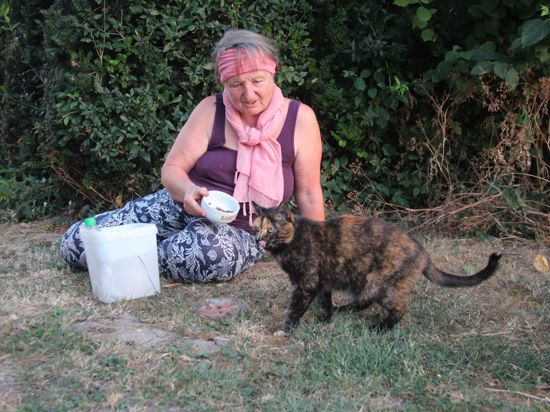 Eva Goroll füttert eine Katze, die sie „Mutzele“ nennt. Seit bestimmt sieben Jahren wird das Tier jeden Tag von ihr versorgt.