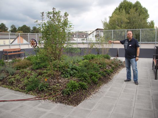 Jörg Israel, Leiter des neuen Seniorenzentrums Sankt Anton in Bruchsal zeigt den Vergissmeinnicht-Garten, der zum beschützenden Bereich der Wohngruppe für Demenzerkrankte gehört