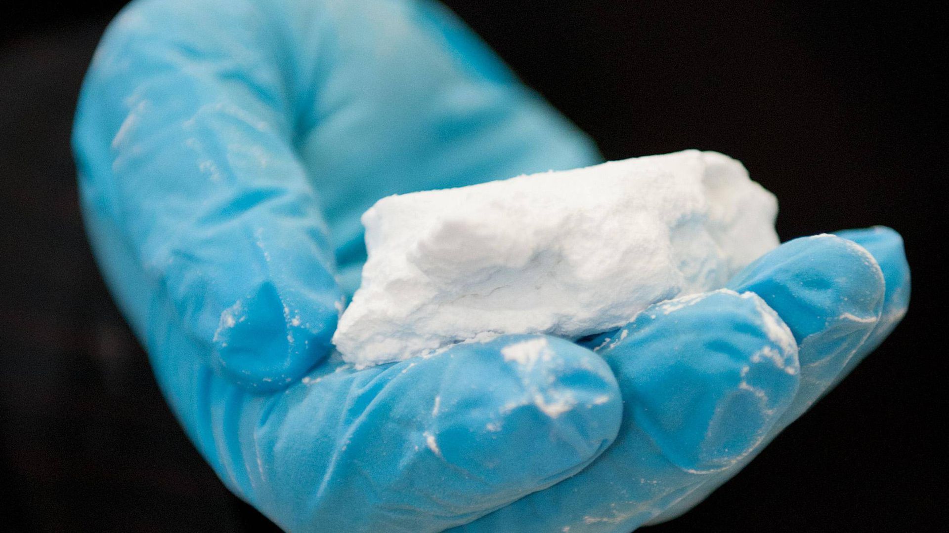In Wörth wurden 300 Kilo Kokain gefunden. Foto: Christian Charisius/Archiv