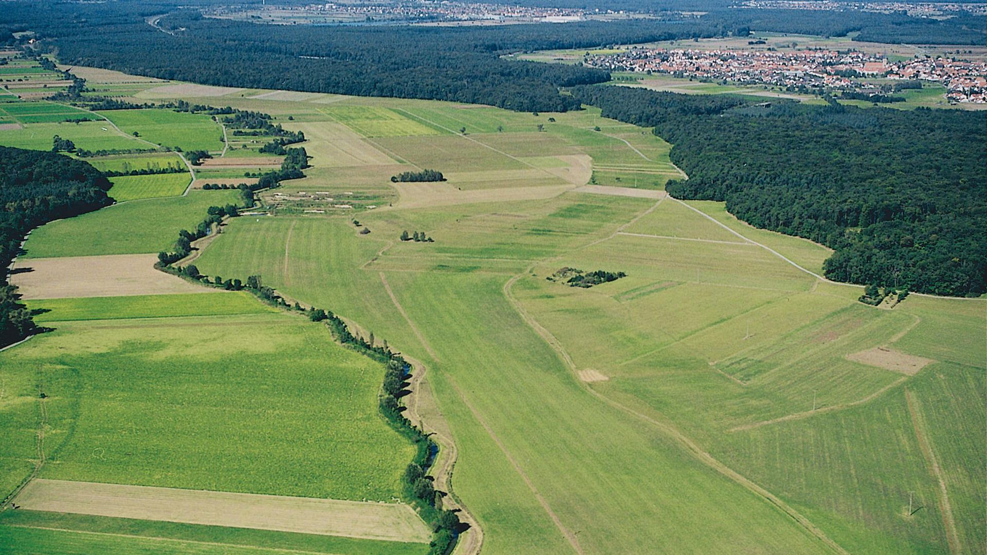 Mit einer Fläche von knapp 1.400 Fußballfeldern ist die Saalbachniederung einer der größten unzerschnittenen Freiräume in der nordbadischen Rheinebene.