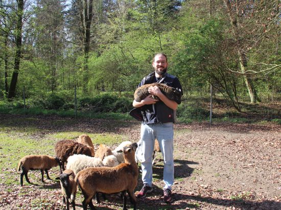 Henrik Schuhmacher, erster Vorsitzender des Trägervereins des Walderhohlungsparks Hambrücken, mit einem Jungtier im Ziegen- und Schafsgehege