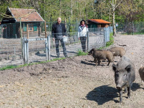 Wildschweingehege, Peter Blümle und Maria Braginez