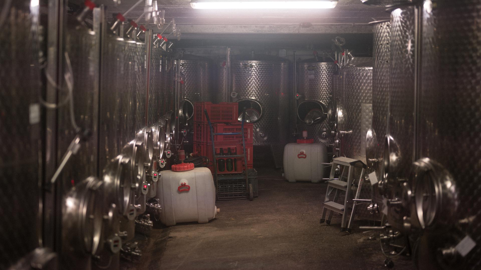 Außer Silber, innen Rot: Die Edelstahlbehälter in Zorns Lagerraum beinhalten literweise Wein, der darauf wartet, in Flaschen abgefüllt zu werden.