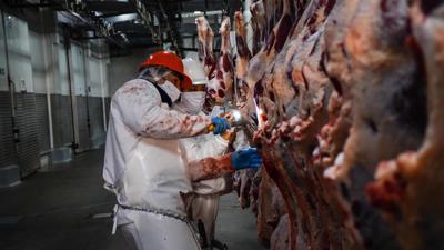 Zwei Mitarbeiter kontrollieren Rinderstücke in einem Lager eines Fleischverarbeitungsbetriebs in Temuco. 
