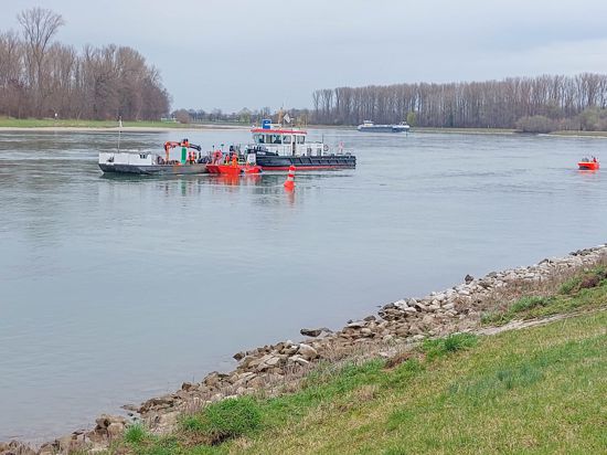 Rhein mit Schiff