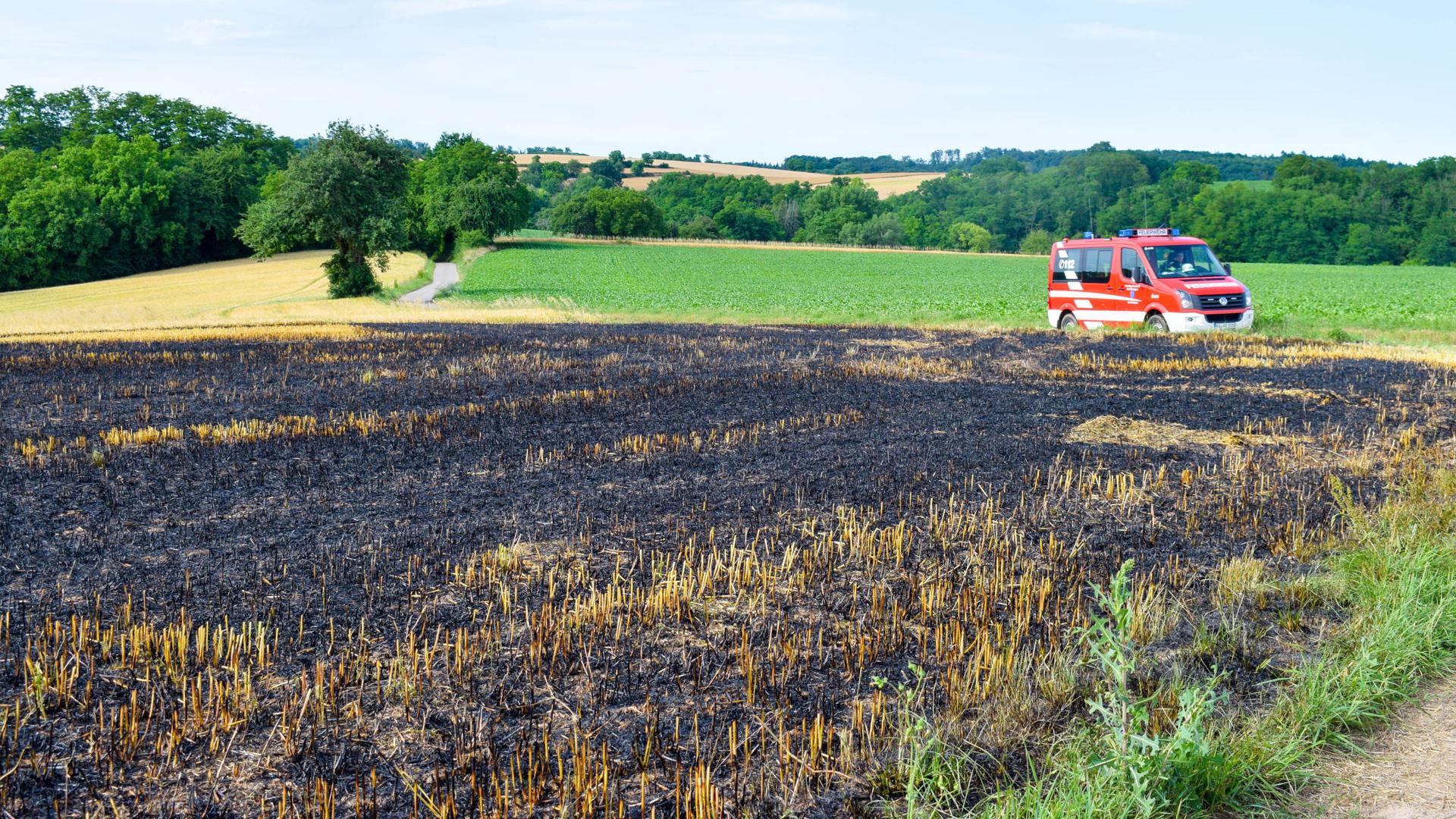 Ein abgemähtes Weizenfeld hat am Dienstagnachmittag in Östringen gebrannt.