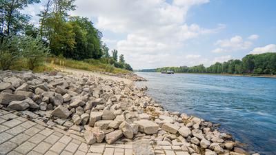 Niedrigwasser am Rhein: Die Ufer werden zu Steinwüsten.