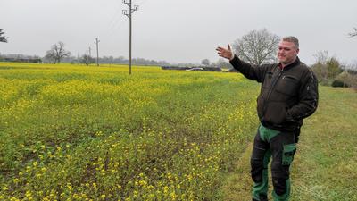 Landwirt Christian Coenen bewirtschaftet in Philippsburg rund 200 Hektar Acker, überwiegend mit Getreide. In Philippsburg gibt es die flächenmäßig größten Bauernhöfe in Baden-Württemberg.