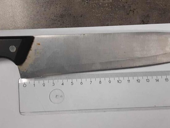 Ein Küchenmesser mit einer über 20 Zentimeter langen Klinge liegt auf einem weißen Blatt Papier. Mit dem Messer soll ein Mann in einem ICE-Zug einen Bahnbediensteten verletzt haben. (Bestmögliche Qualität) +++ dpa-Bildfunk +++