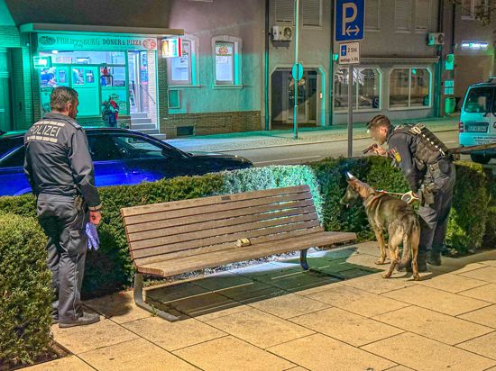 Polizisten mit Hund durchsuchen Grünanlage