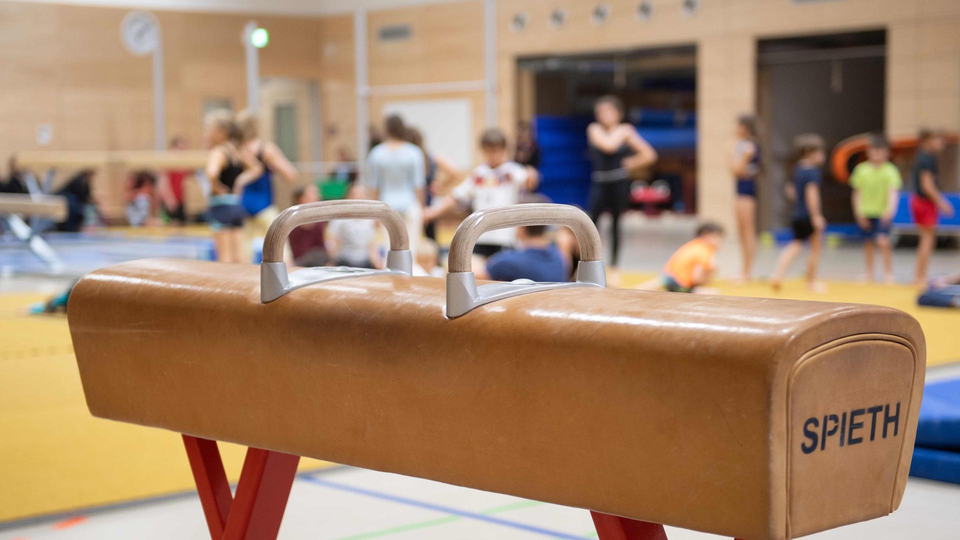Ein Pauschenpferd steht während des Sportunterrichts in der Sporthalle einer Grundschule. Der Deutsche Lehrerverband hat sich trotz der Sportfaulheit deutscher Kinder- und Jugendlicher gegen Veränderungen am Sportunterricht ausgesprochen. (zu dpa «Trotz Bewegungsmuffeln - Lehrer gegen Änderungen am Sportunterricht») +++ dpa-Bildfunk +++