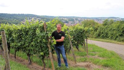 Andreas Schlicht, Vorsitzender der WG Zeutern, in einem Weinberg mit Blick auf seinen Heimatort, geht von einer normalen Erntemenge aus