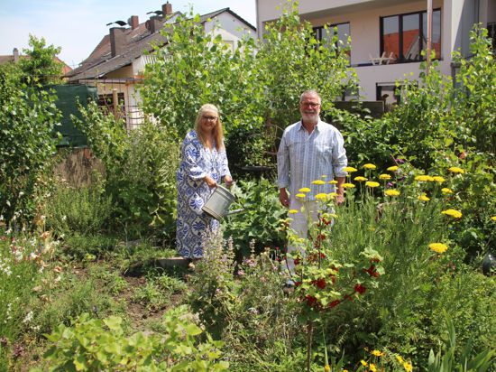 Susanne Gutgsell-Deutsch und Philipp Deutsch aus Stettfeld gießen ihre mediterranen Pflanzen sowie den Obst- und Gemüsegarten mit Regenwasser, das in einer Zisterne und einem Fass gesammelt wird. Der Rasen wird nicht gewässert. 