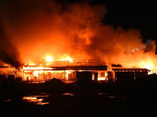 Hohe Flammen schlagen aus der Großbäckerei in Walldorf.