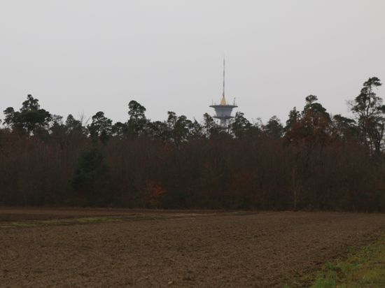 Das Waldstück an der L560 in Richtung Hockenheim und gegenüber der Schnell-bahntrasse könnte zum Standort eines Geothermie-Kraftwerks werden.