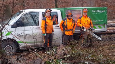 Unterwegs mit Waldarbeitern - In Dreier-Teams sind die Forstwirte bei der Arbeit.