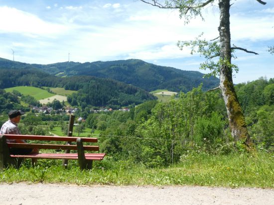 Gutachtal und Gutach mit Schwarzwaldlandschaft