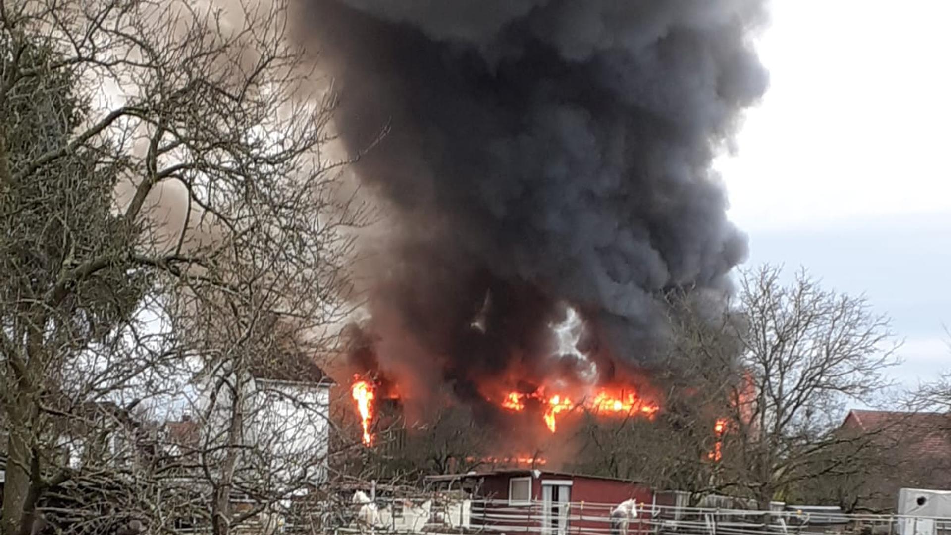 Brand in RheinauHolzhausen, Ökonomiegebäude brennt