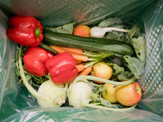 Obst und Gemüse liegt in einer Kiste vom Bio-Lieferanten.