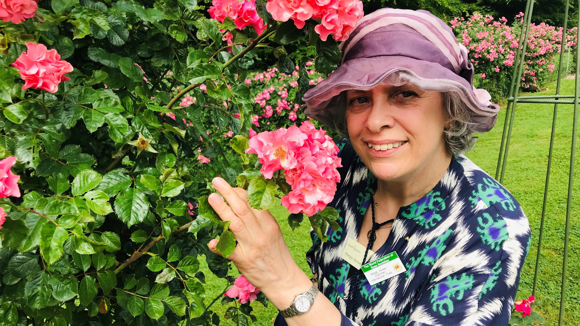 Marga Verwer koordiniert für den Weltrosenverband die Internationalen Rosenwettbewerbe. Beim Rosenneuheitenwettbewerb in Baden-Baden ist sie die Präsidentin der Internationalen Jury. 