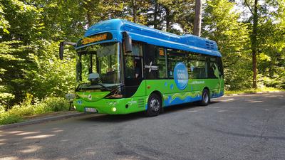 Grün-blauer Bus der Linie 208 in Richtung Augustaplatz
