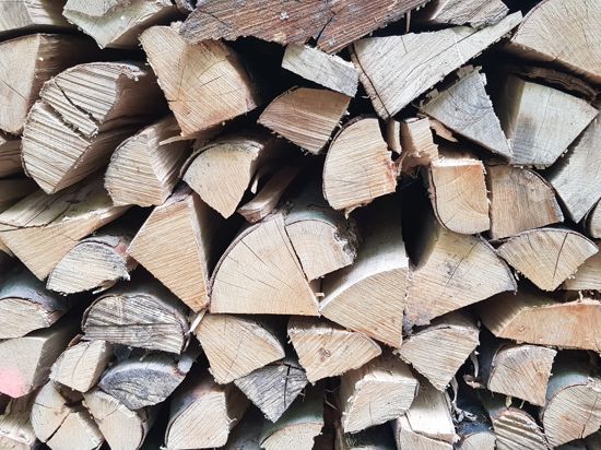 Der Winter kommt: Viele Bürgerinnen und Bürger schaffen sich derzeit einen Holzofen an. Die Nachfrage nach Brennholz ist enorm.