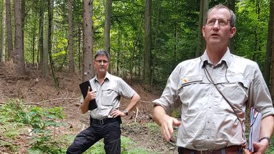 Naturverjüngung: Forstamtschef Thomas Hauck (vorne) und sein Stellvertreter Robert Lang erklären, wie der Wald auf den Klimawandel vorbereitet wird.