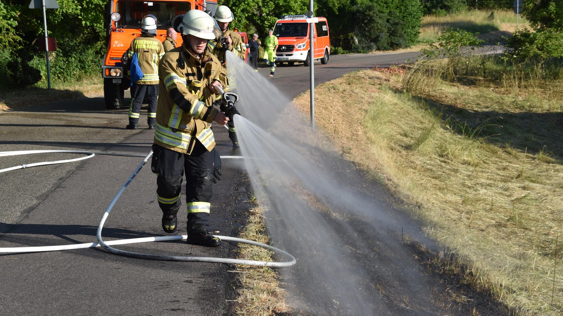 Feuerwehrmänner löschen einen Flächenbrand auf einer Wiese.
