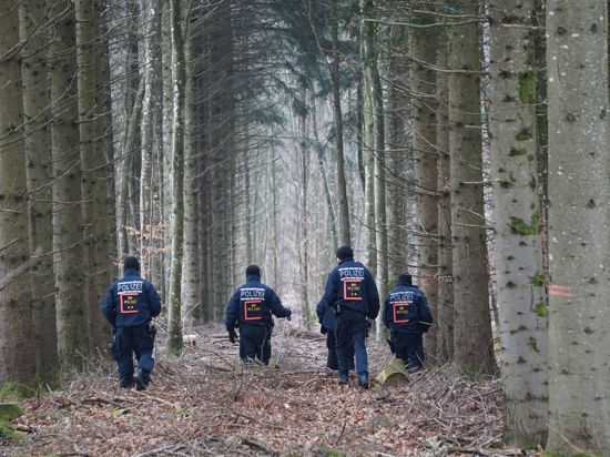 Polizisten durchkämmen in einer langen Reihe ein Waldgebiet