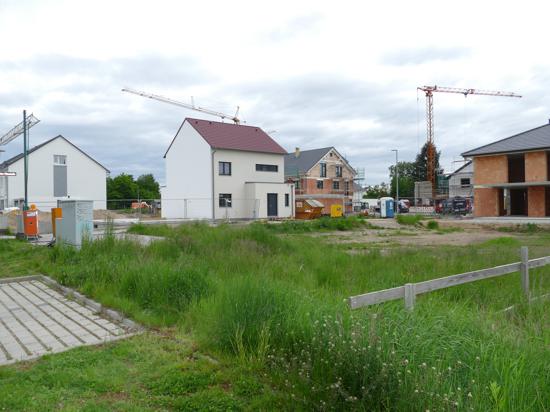 Die Bauherren sind im Gebiet Stöcke Nord  in Sandweier bereits fleißig.