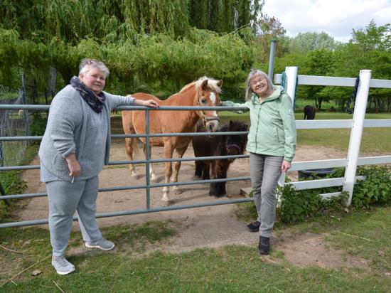 Anja Schwolgien (links) und Ingeborg Lingenfelder engagieren sich seit Jahrzehnten auf dem Buchtunger Tierhof. Hier mit Ponys auf dem dazugehörigen Gnadenhof. 