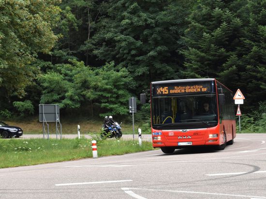Die Strecke auf der Schwarzwaldhochstraße ist kurvenreich. Die Fahrweise eines Busfahrers stößt Fahrgästen offenbar schon seit einiger Zeit auf.
