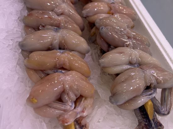 Froschschenkel liegen auf einem Markt in Frankreich auf Eis. 