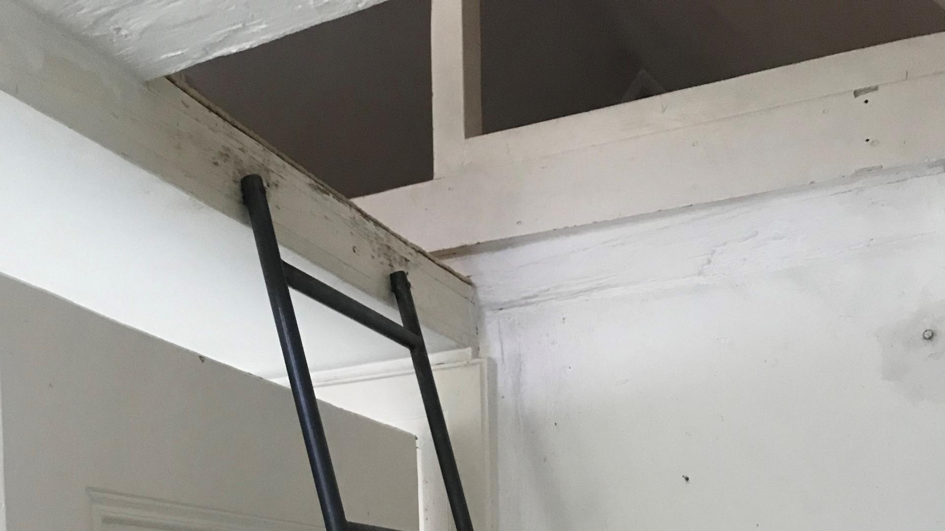 Metallene Leiter hinter einer Tür